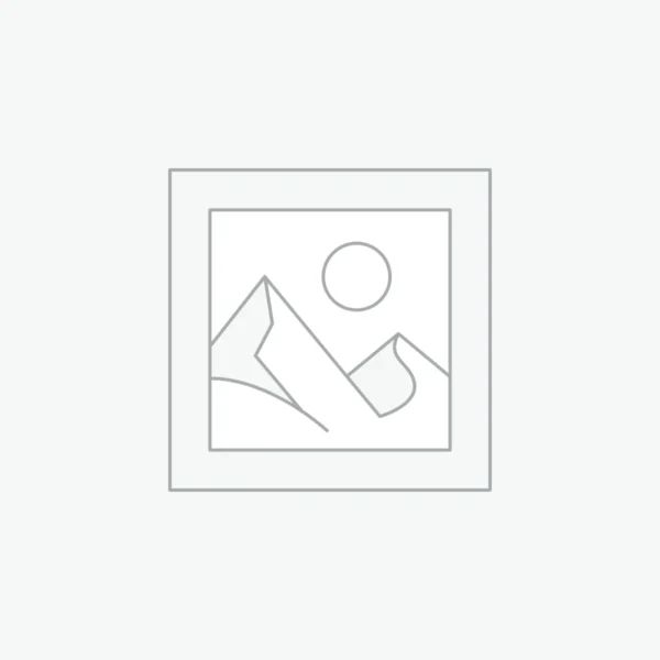 Journey Through Words